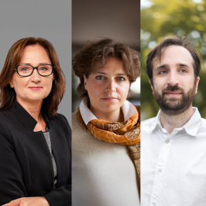 Beyond compliance: measuring the gender pay gap under the EU Pay Transparency Directive – a practical approach